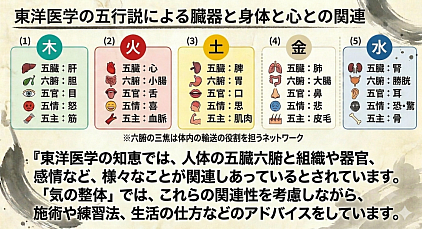 東洋医学の五行説による臓器と身体と心との関連